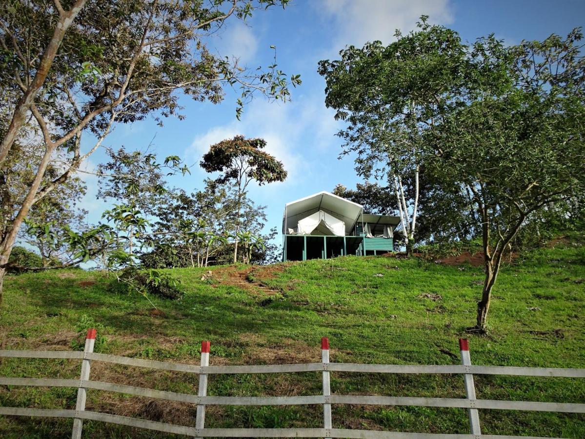 Ferienwohnung Finca Tres Equis - Farm And Forest Exterior foto