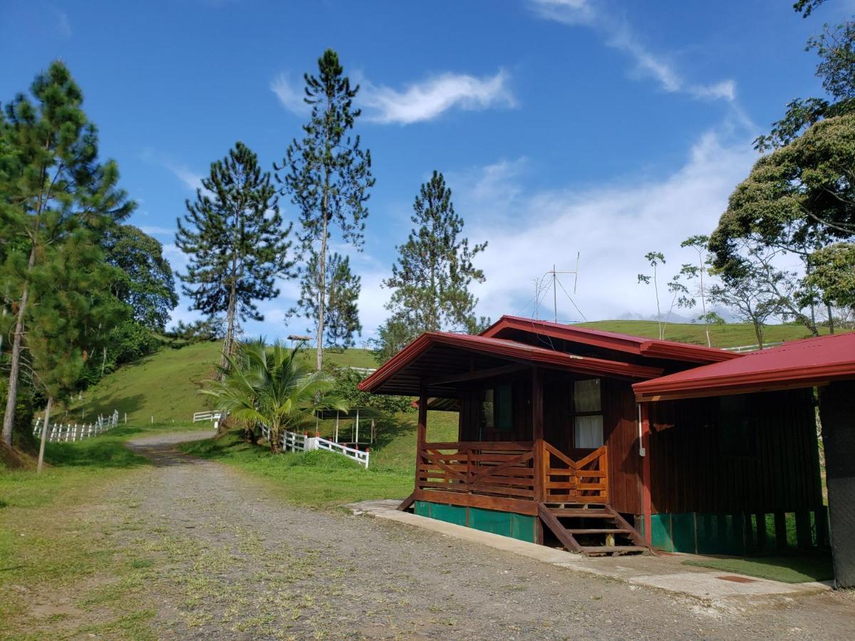 Ferienwohnung Finca Tres Equis - Farm And Forest Exterior foto