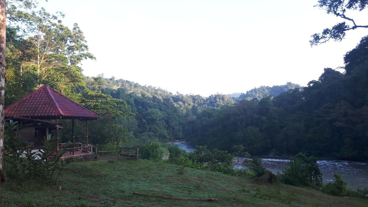 Ferienwohnung Finca Tres Equis - Farm And Forest Exterior foto